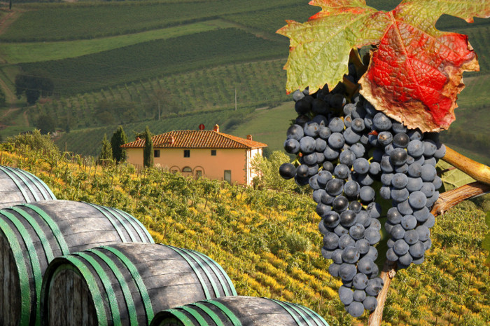 Italy Wine Regions