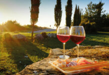 Best Italy Wine Tours Italian Food and Wine
