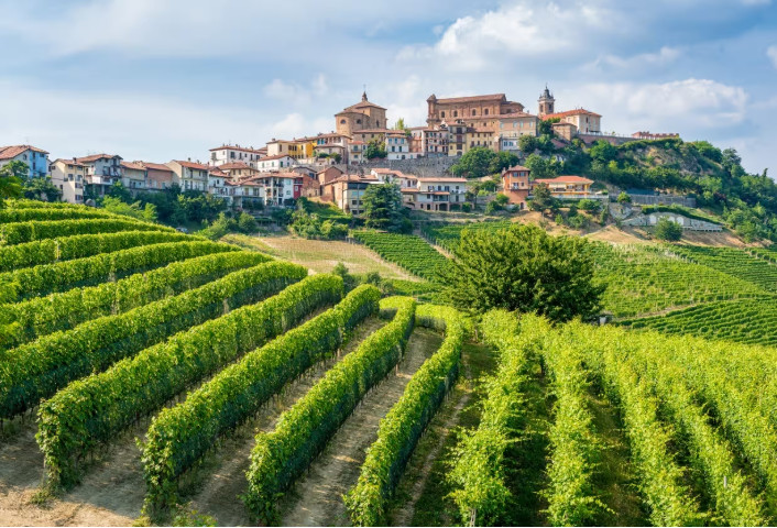 Piedmont Wine Tour