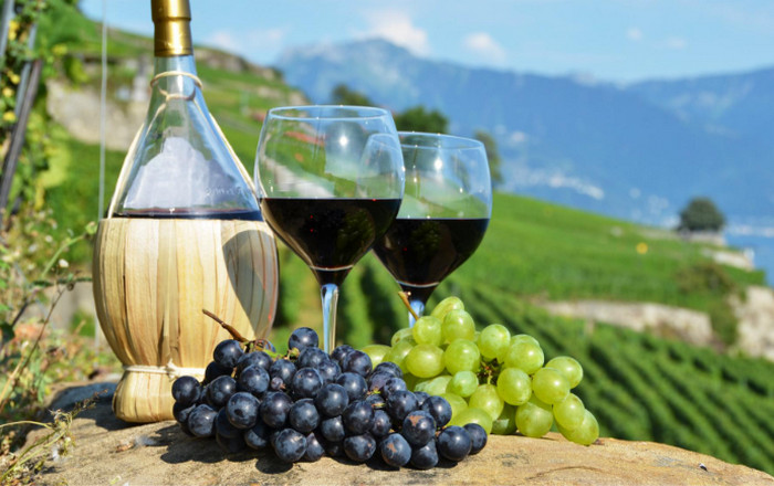 Tuscany Wine Tasting