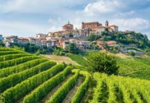 Top 10 Best Wine Villages in Italy